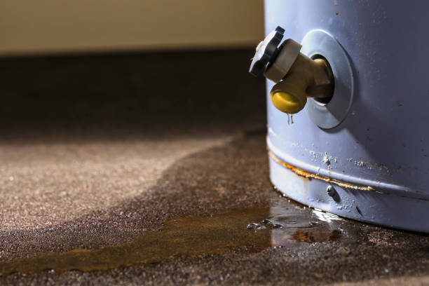 Best Residential water damage restoration  in Lockney, TX