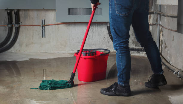 Best Professional water damage repair  in Lockney, TX