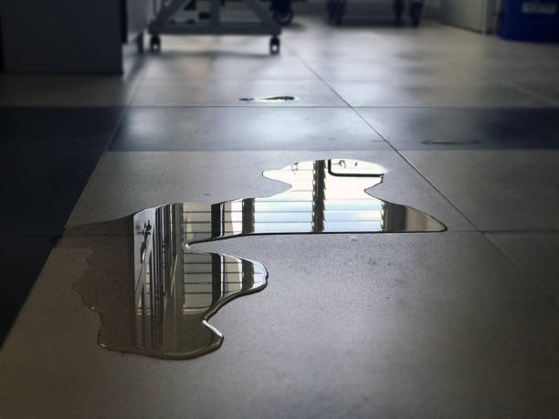 Best Water damage contractors near me  in Lockney, TX