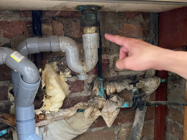 Best Water damage contractors near me  in Lockney, TX