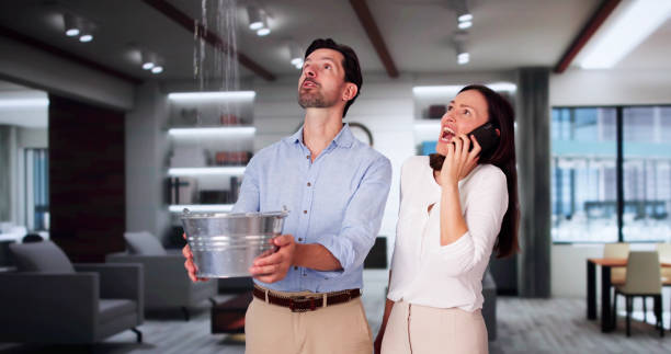 Best Local water damage restoration  in Lockney, TX