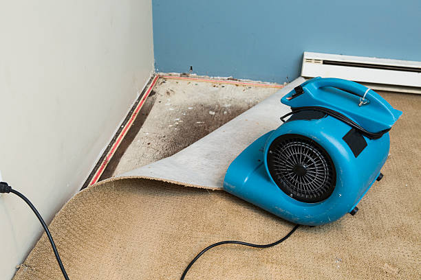 Lockney, TX Water damage restoration Company